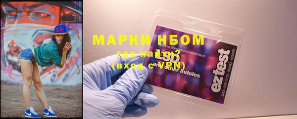 хмурый Аркадак