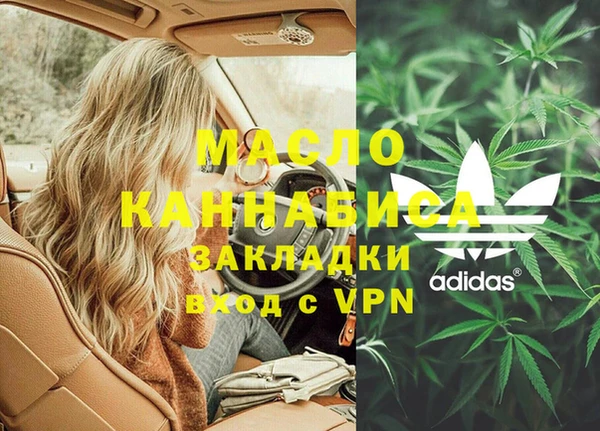 хмурый Аркадак