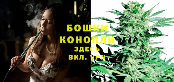 шишки Армянск