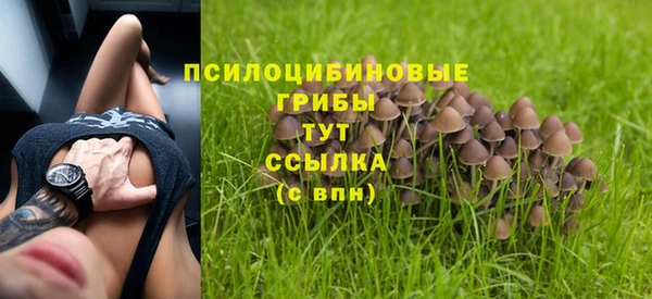 spice Арсеньев