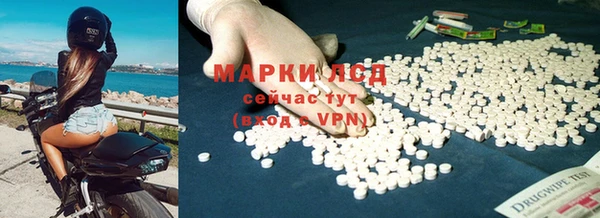 гашик Алексин