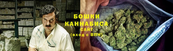 шишки Армянск