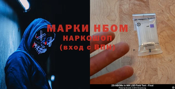 хмурый Аркадак