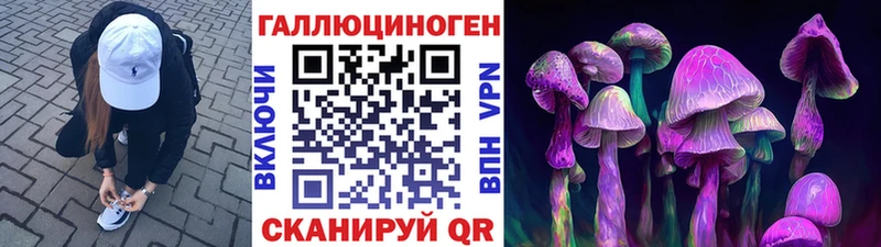 купить наркотики цена  Курган  Псилоцибиновые грибы мухоморы 